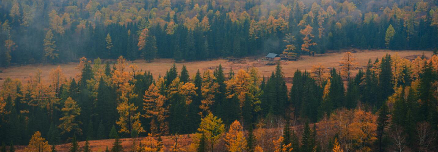 圖片說(shuō)明1